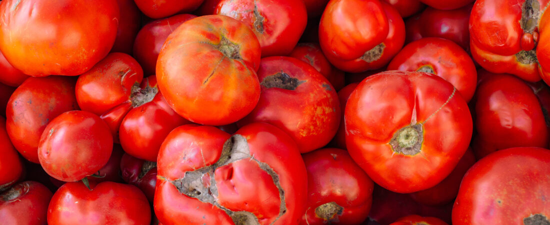 Gaspillage alimentaire en France : agir maintenant